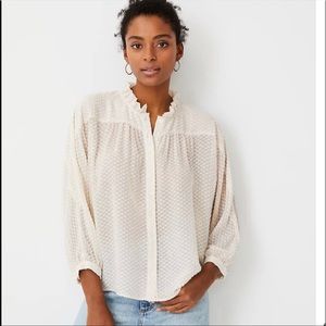 Ann Taylor NWT | Ann Taylor Medium Clip Dot Dolman Top